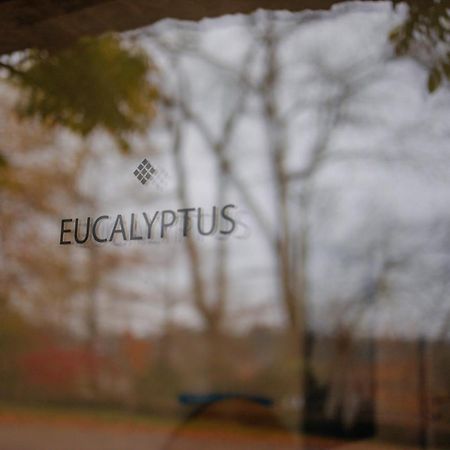 Chambres D'Hotes Eucalyptus Et Glycine Женваль Экстерьер фото
