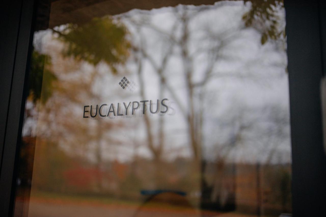 Chambres D'Hotes Eucalyptus Et Glycine Женваль Экстерьер фото